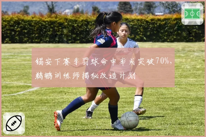 锡安下赛季罚球命中率或突破70%，鹈鹕训练师揭秘改造计划