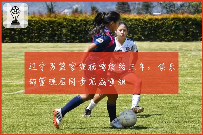 辽宁男篮官宣杨鸣续约三年,俱乐部管理层同步完成重组
